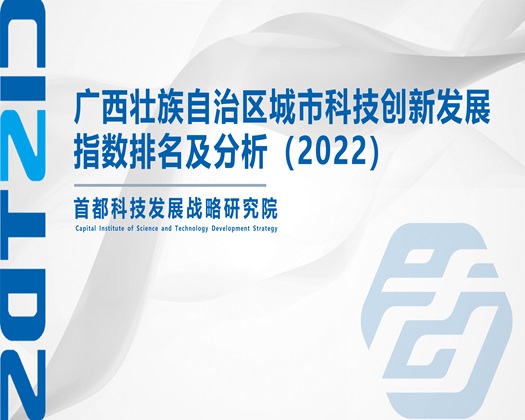 www.逼.com【成果发布】广西壮族自治区城市科技创新发展指数排名及分析（2022）